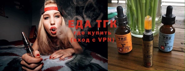 ECSTASY Горняк