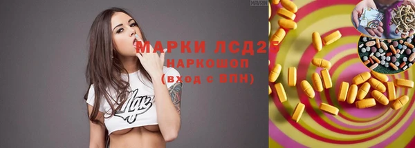 бошки Гусев