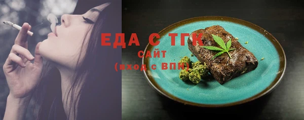 ECSTASY Горняк