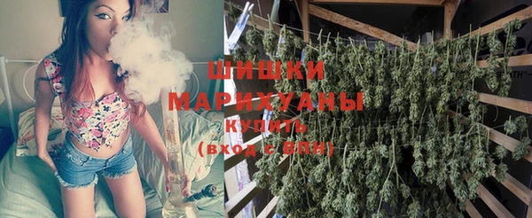бошки Гусев