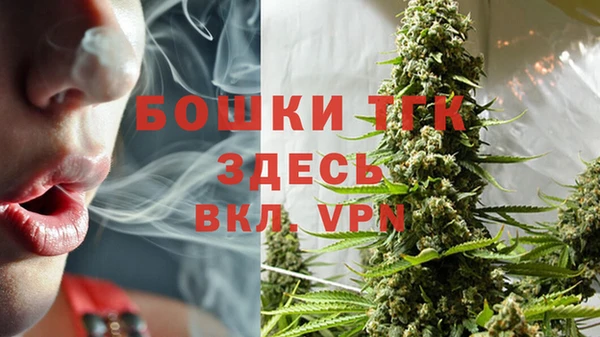 ECSTASY Горняк