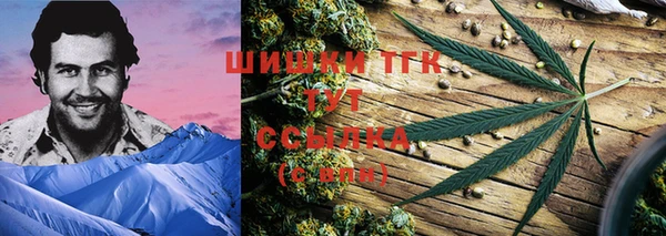 ECSTASY Горняк