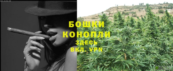 ECSTASY Горняк