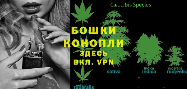 бошки Гусев