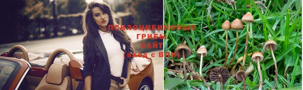 альфа пвп Горнозаводск