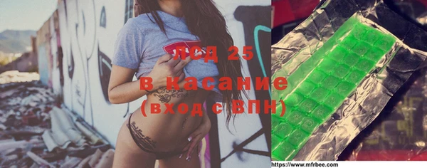 ECSTASY Горняк