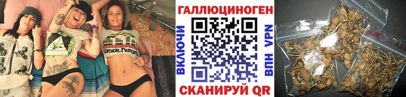 Псилоцибиновые грибы GOLDEN TEACHER  Купить  Заречный 